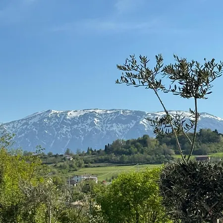Apartamento Belvedere
